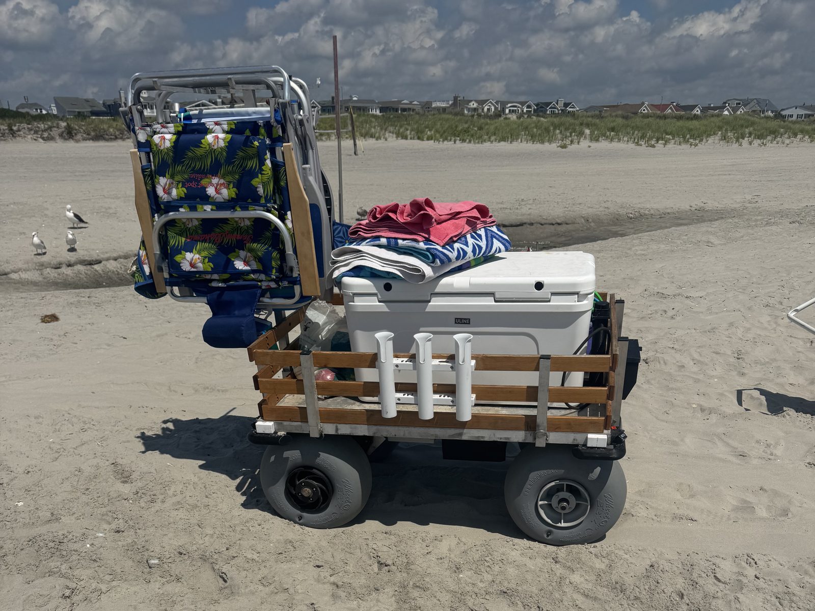 Side view against the dunes with rod holders on the rail and seagulls looking on